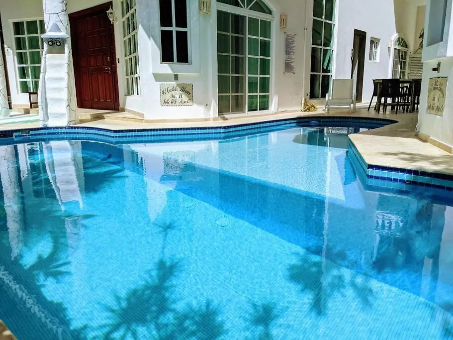 9Br 6Ba Large Groups! Best Location In Town Walk To Beach, 5Th Ave Cozumel Ferry, Shopping, Nightlife! Roof Plunge Pool!! Castillo Playacar Fase 1 25Max Playa del Carmen Casa vacanze